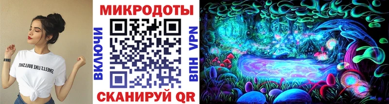 Псилоцибиновые грибы Cubensis  закладка  kraken сайт  Онега 