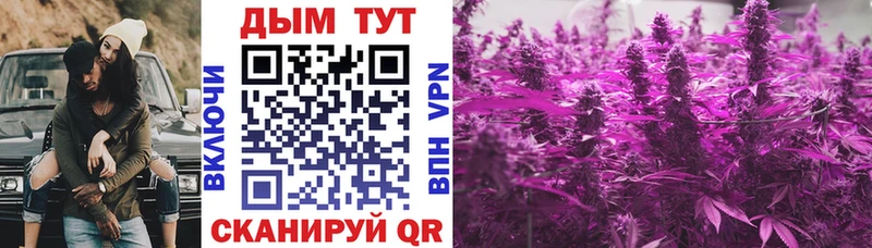 Бошки марихуана ГИДРОПОН  Онега 